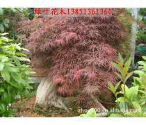 產(chǎn)品庫(kù)